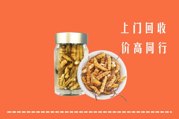 附近收购：六安回收冬虫夏草